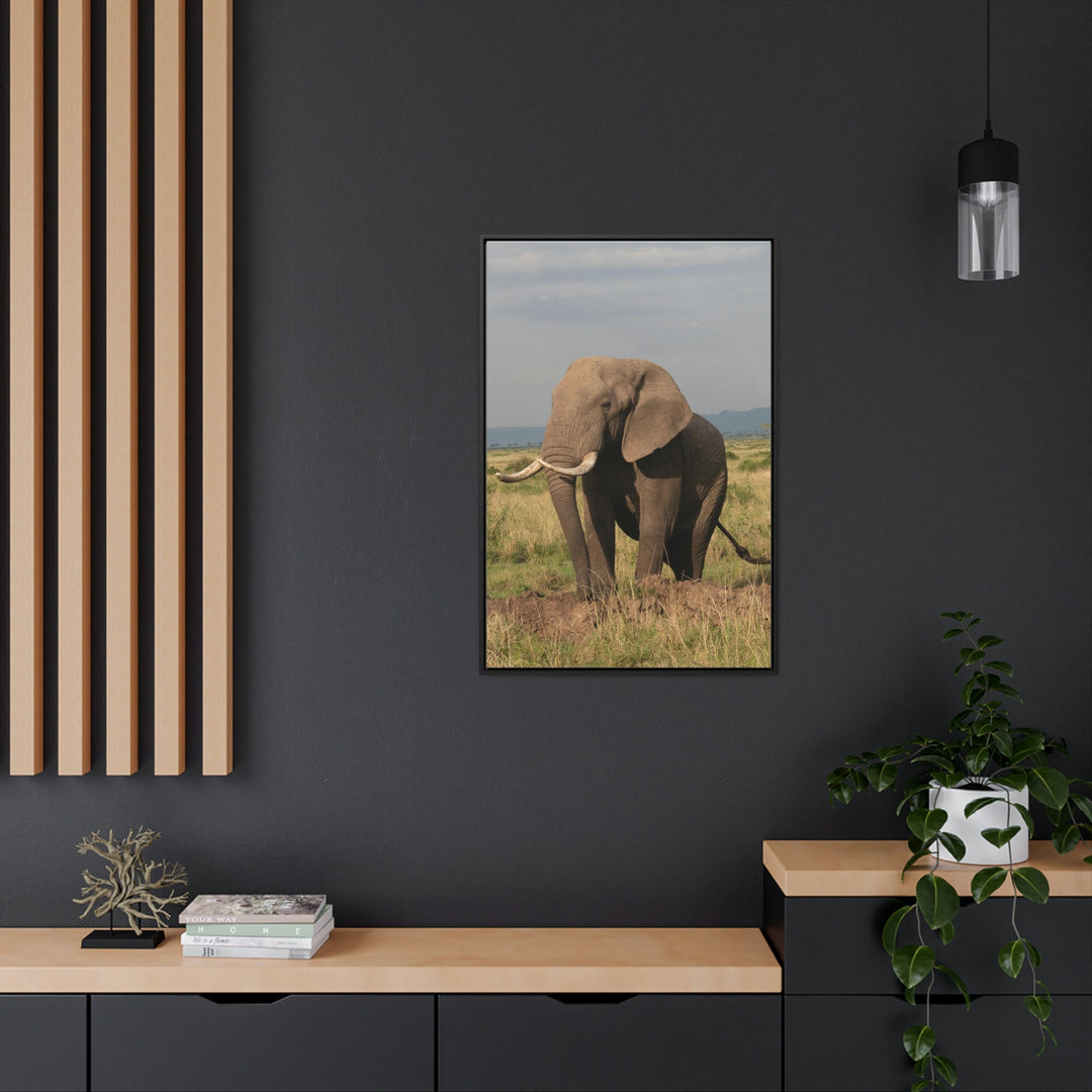 Elephant Stance - Canvas With Frame - Visiting This World