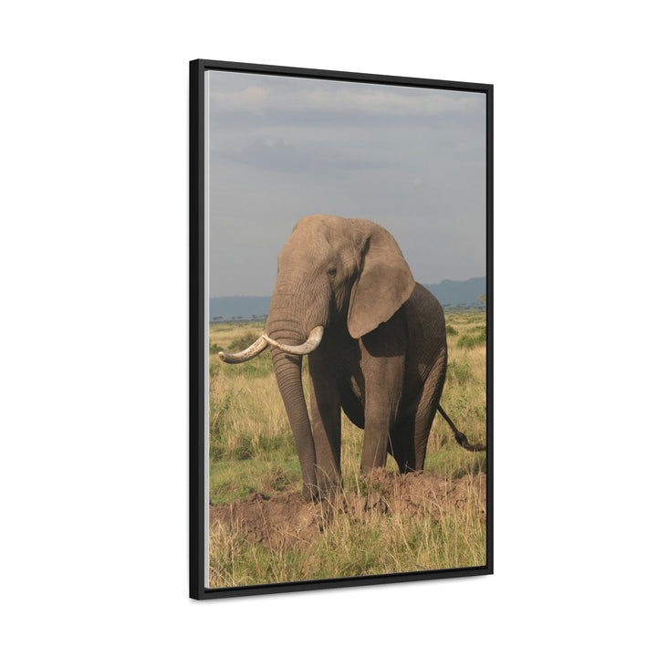 Elephant Stance - Canvas With Frame - Visiting This World