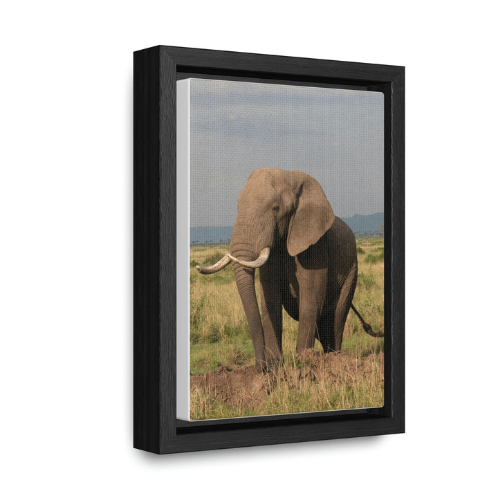 Elephant Stance - Canvas With Frame - Visiting This World