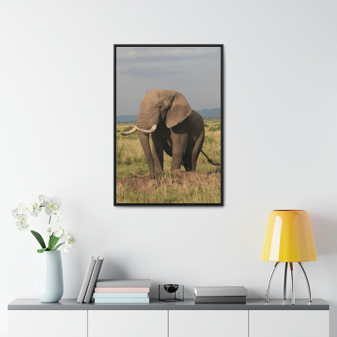 Elephant Stance - Canvas With Frame - Visiting This World