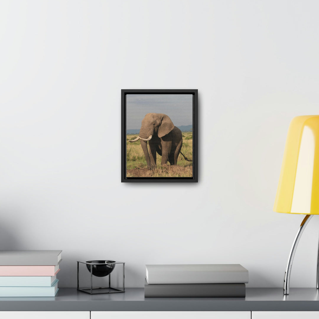 Elephant Stance - Canvas With Frame - Visiting This World