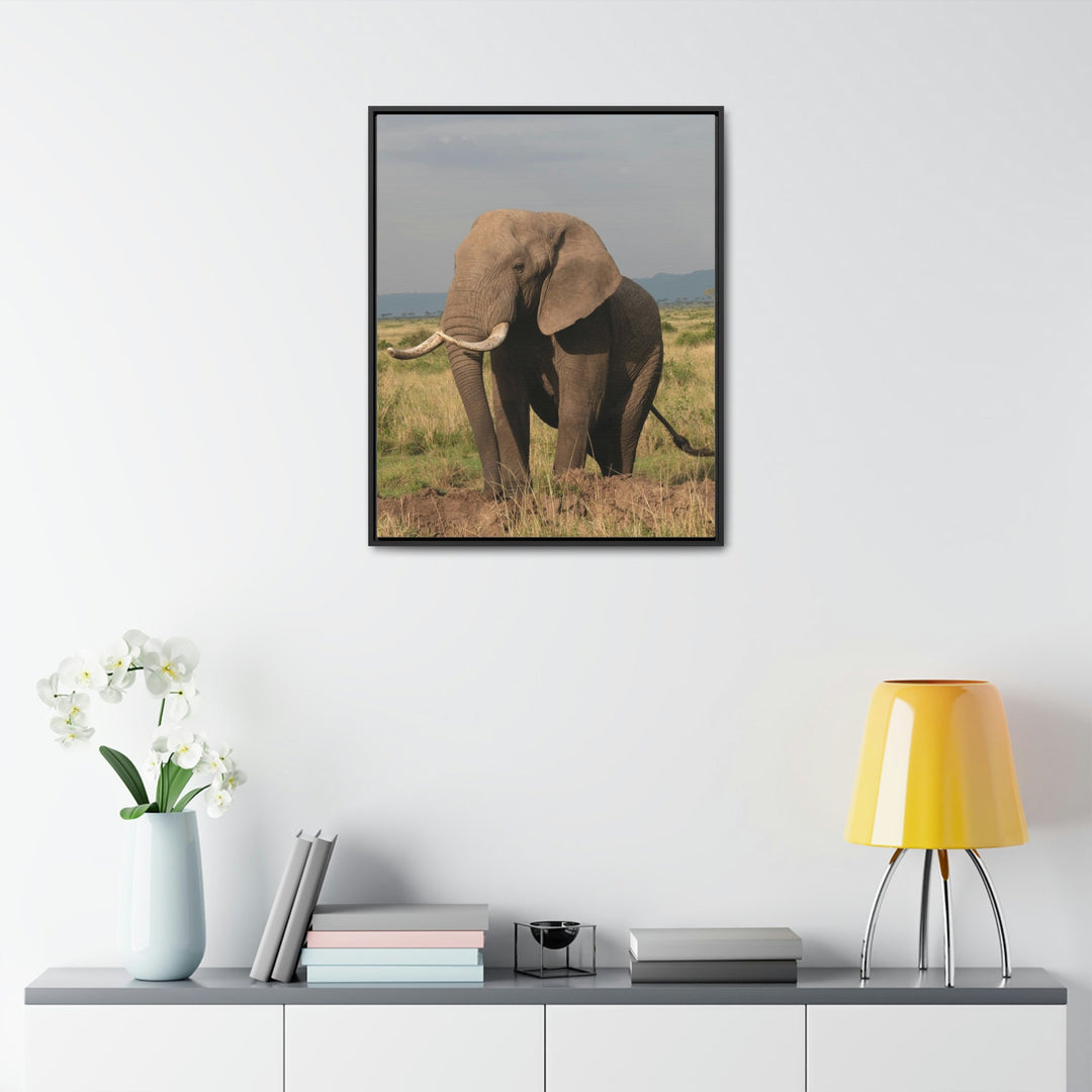 Elephant Stance - Canvas With Frame - Visiting This World