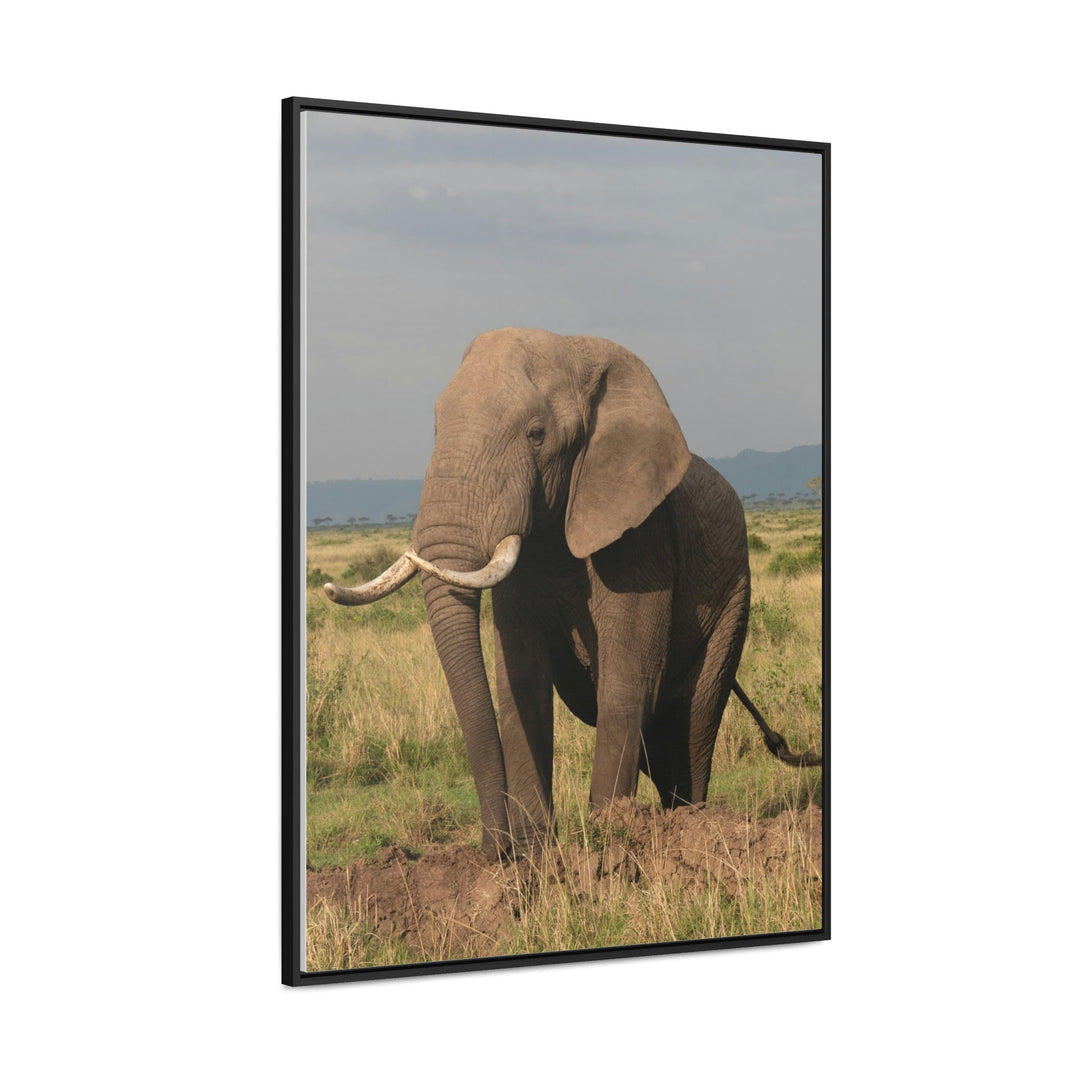 Elephant Stance - Canvas With Frame - Visiting This World