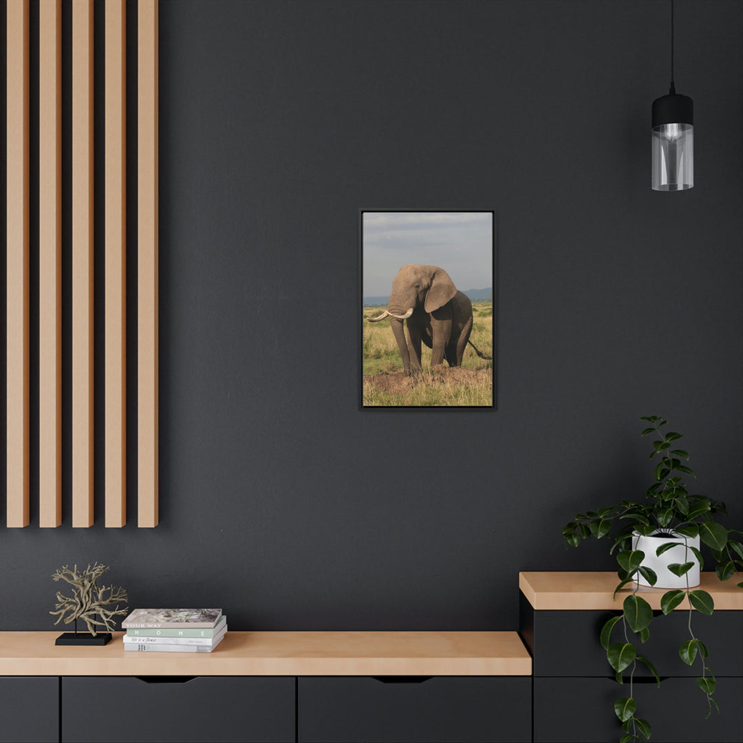 Elephant Stance - Canvas With Frame - Visiting This World