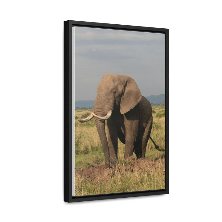 Elephant Stance - Canvas With Frame - Visiting This World