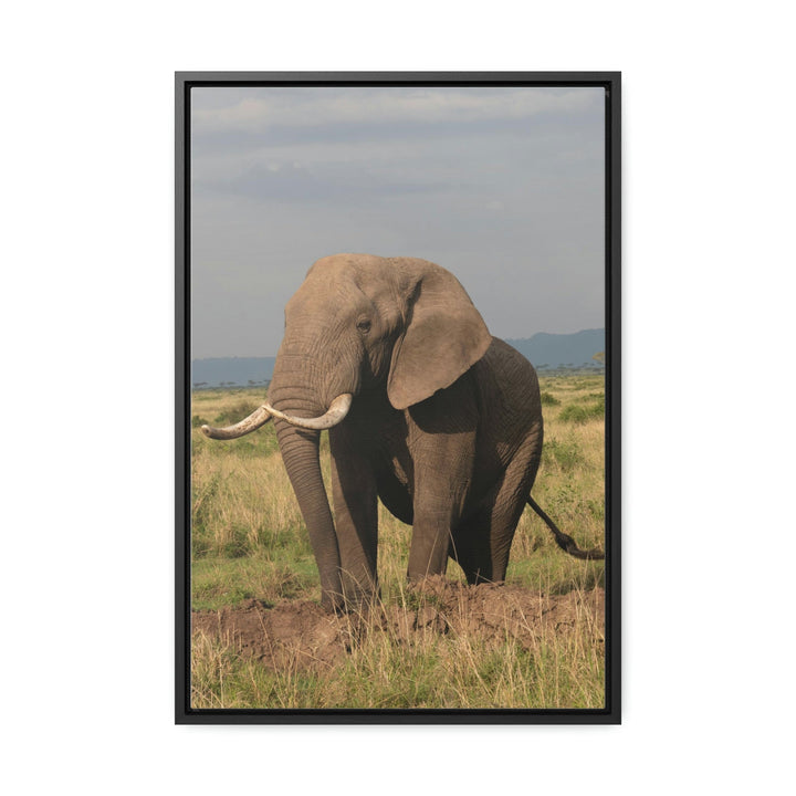 Elephant Stance - Canvas With Frame - Visiting This World