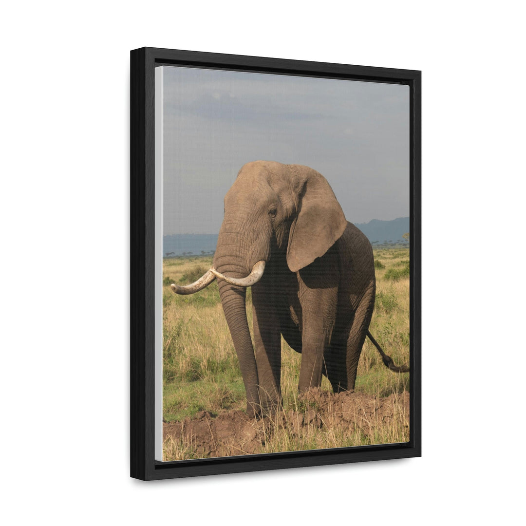 Elephant Stance - Canvas With Frame - Visiting This World