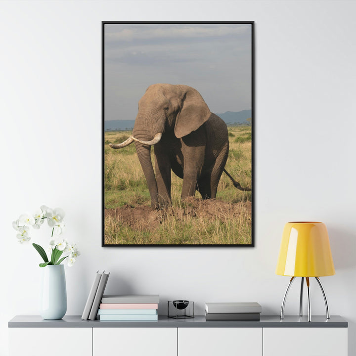 Elephant Stance - Canvas With Frame - Visiting This World