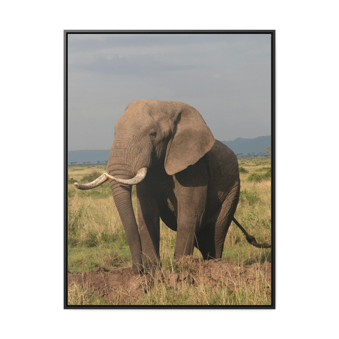 Elephant Stance - Canvas With Frame - Visiting This World