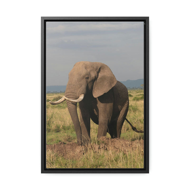 Elephant Stance - Canvas With Frame - Visiting This World