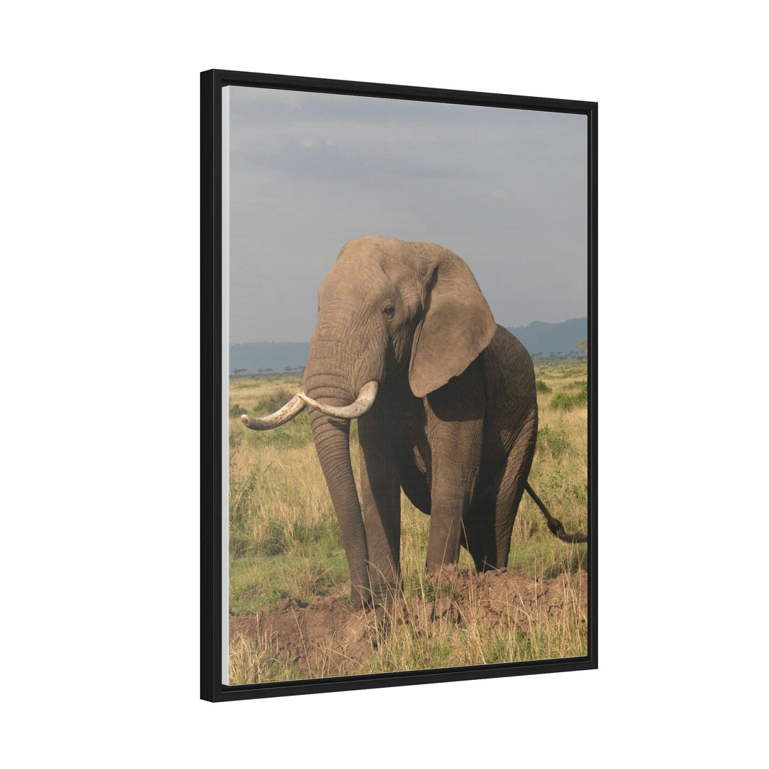 Elephant Stance - Canvas With Frame - Visiting This World