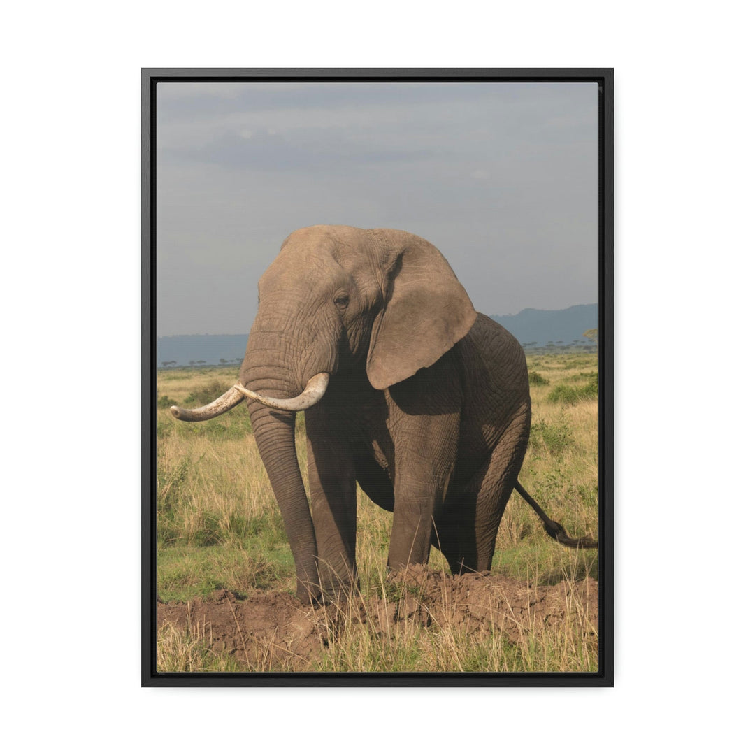 Elephant Stance - Canvas With Frame - Visiting This World