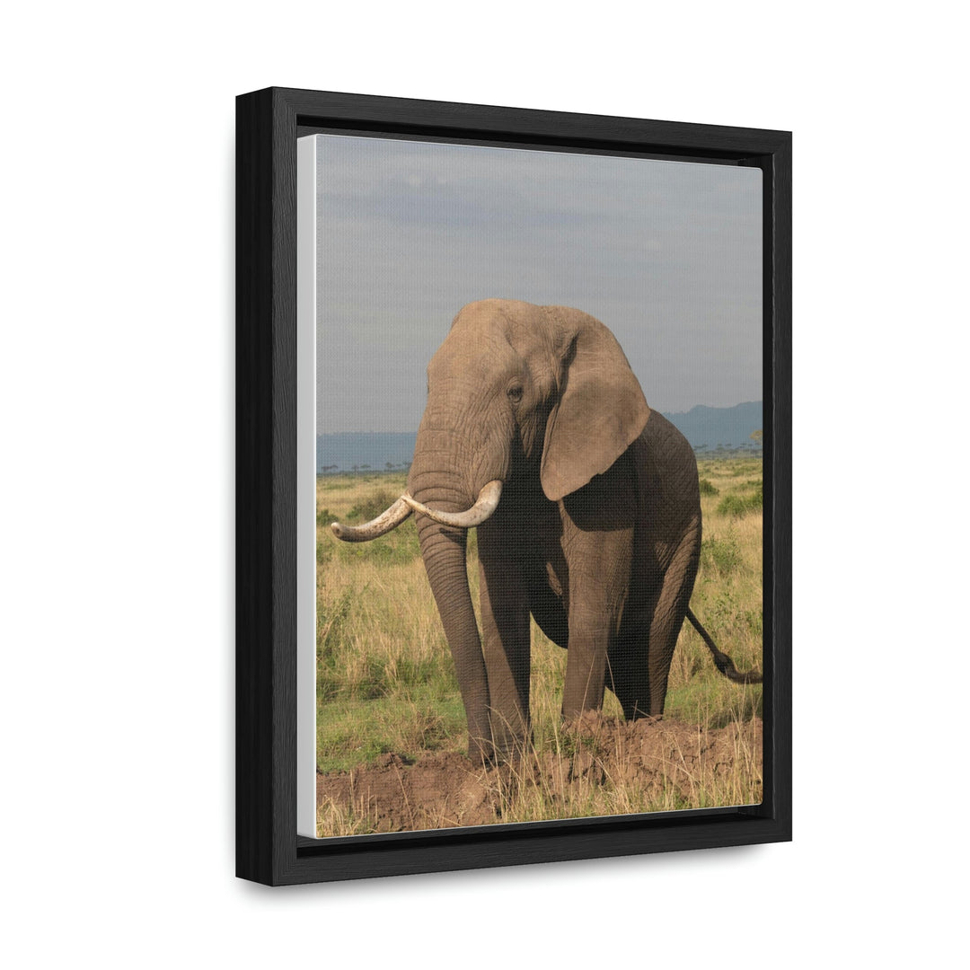 Elephant Stance - Canvas With Frame - Visiting This World