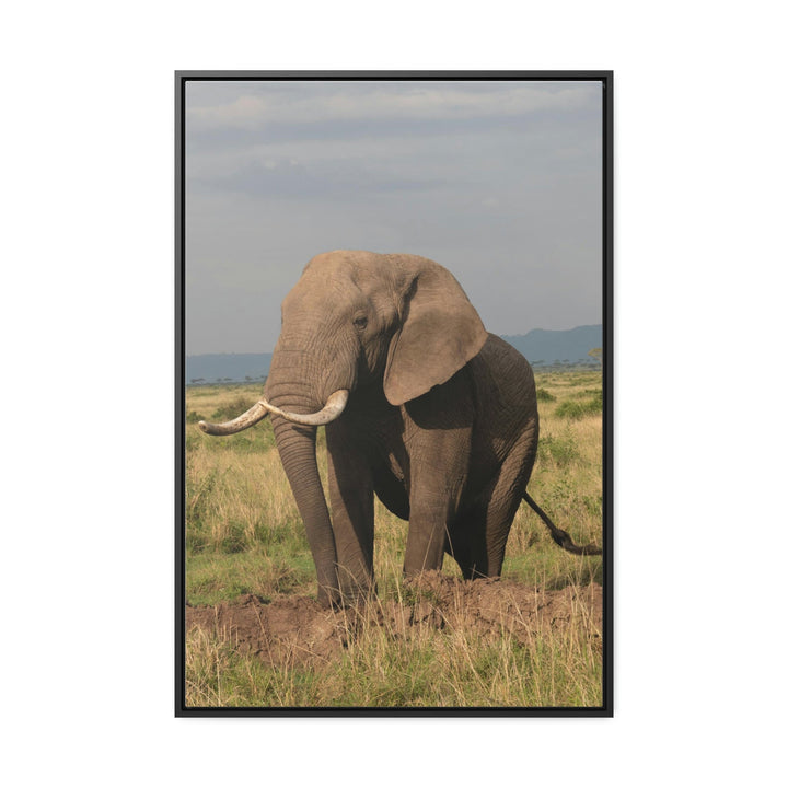 Elephant Stance - Canvas With Frame - Visiting This World