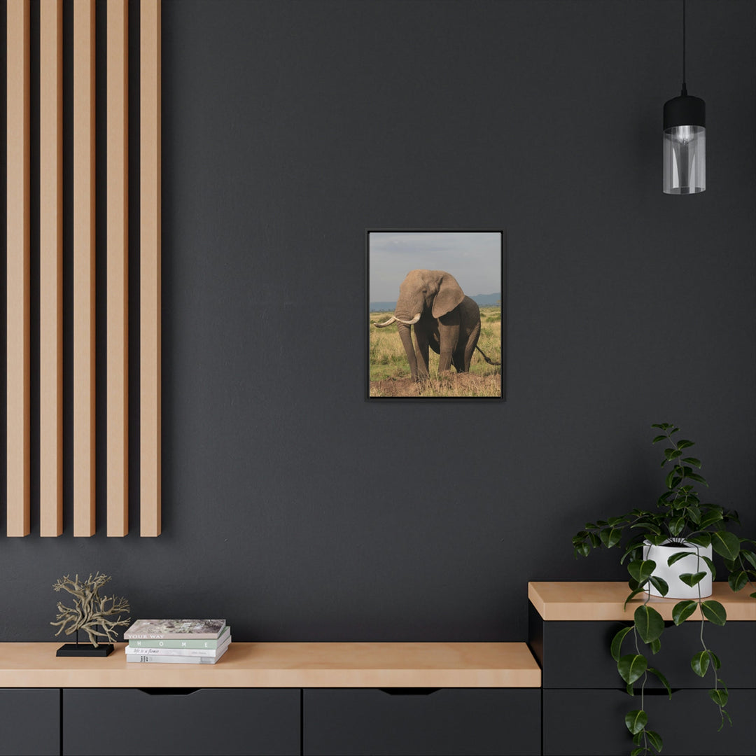 Elephant Stance - Canvas With Frame - Visiting This World