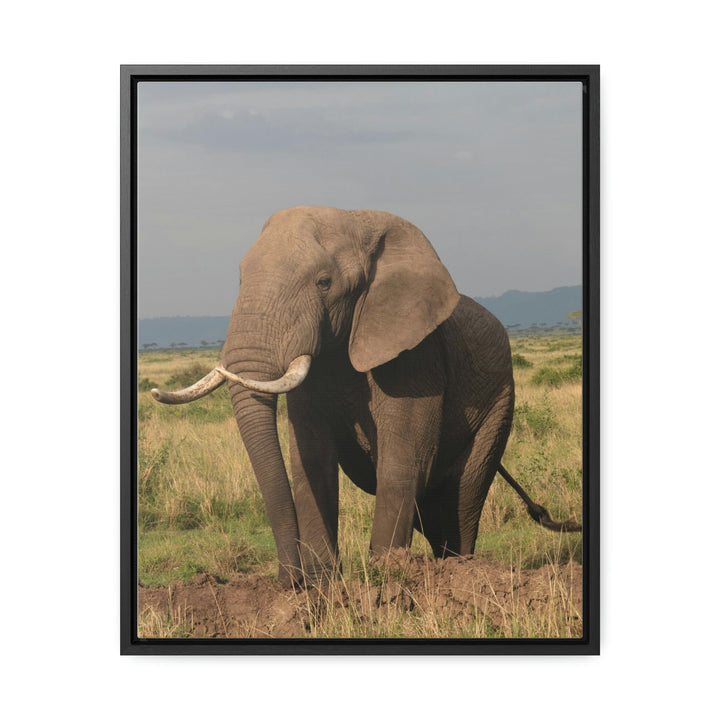 Elephant Stance - Canvas With Frame - Visiting This World