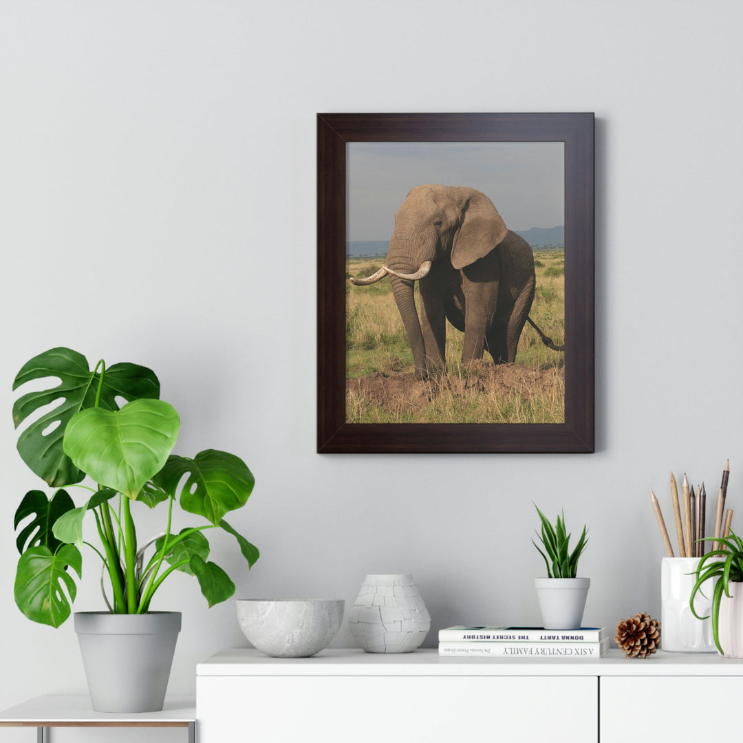 Elephant Stance - Framed Print - Visiting This World