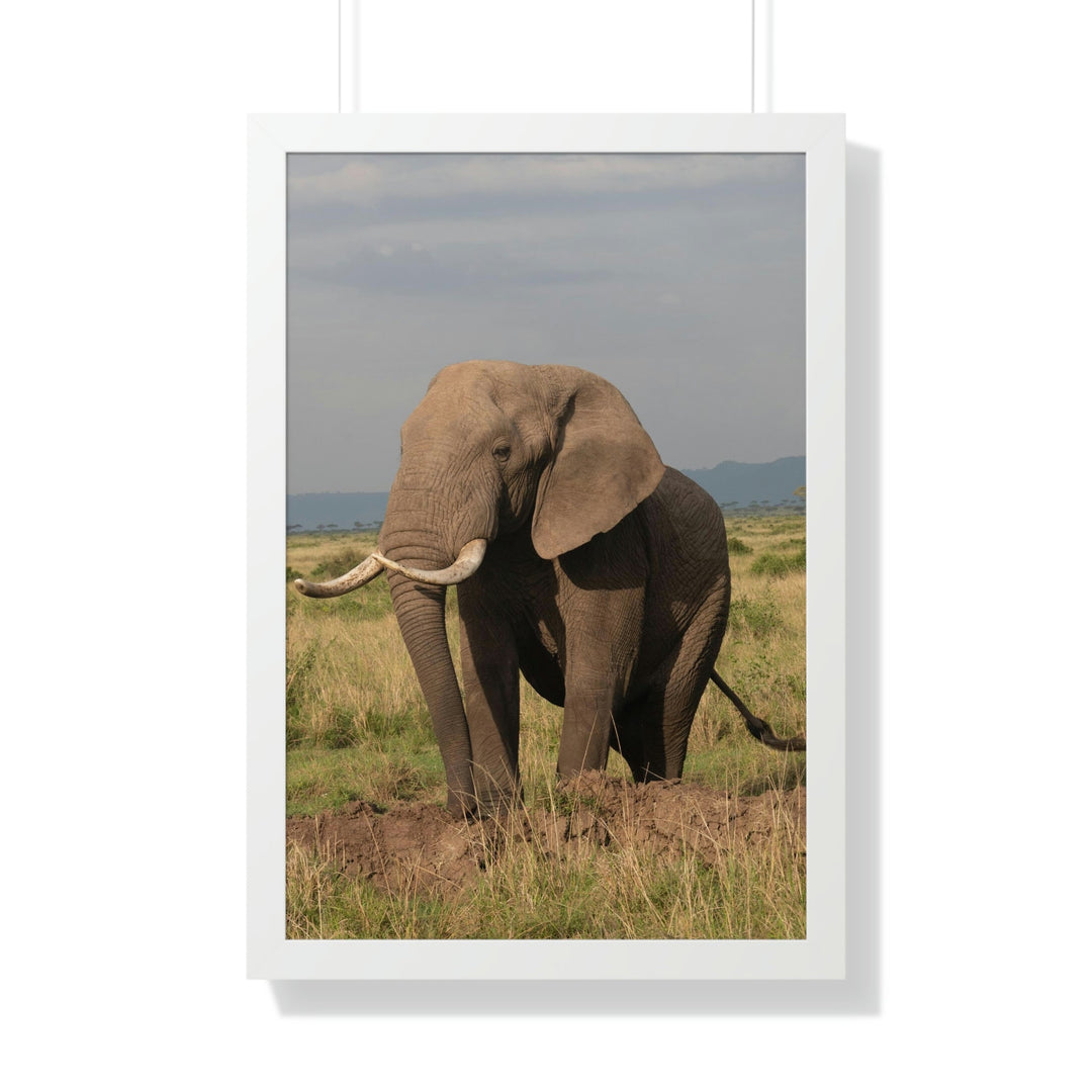 Elephant Stance - Framed Print - Visiting This World