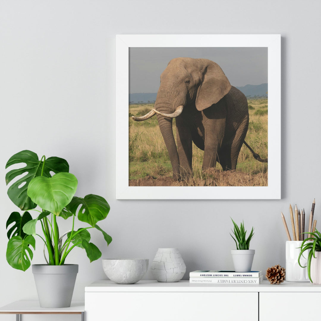 Elephant Stance - Framed Print - Visiting This World