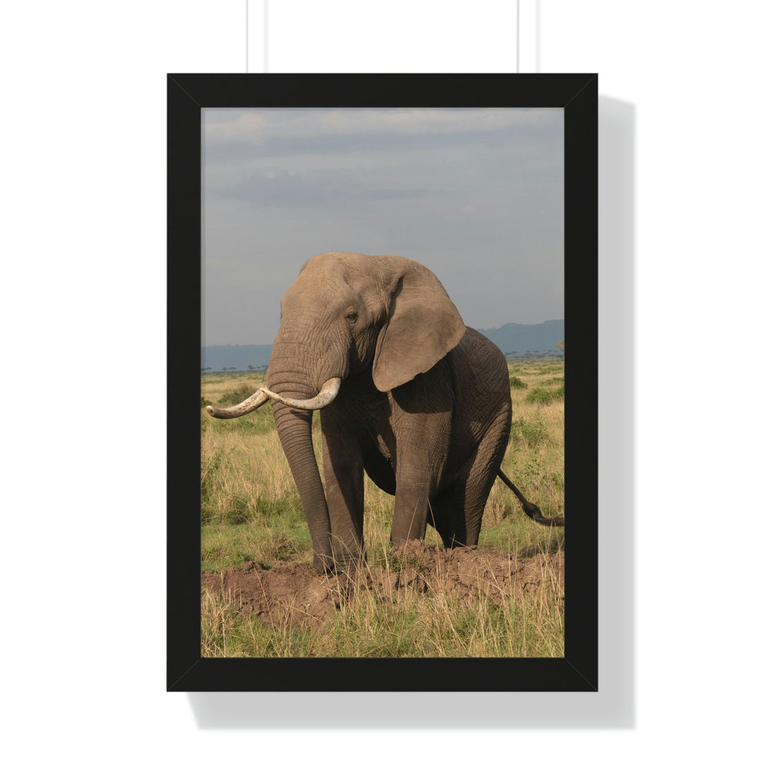 Elephant Stance - Framed Print - Visiting This World