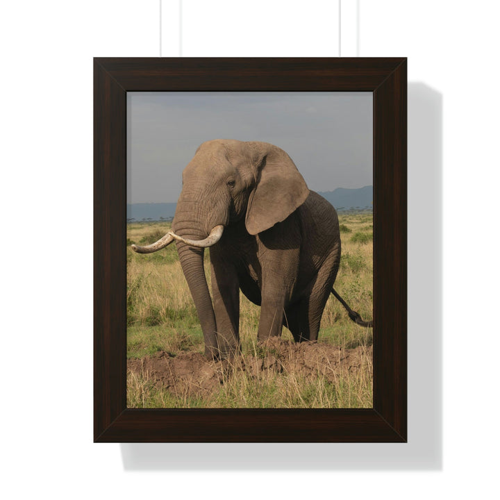 Elephant Stance - Framed Print - Visiting This World