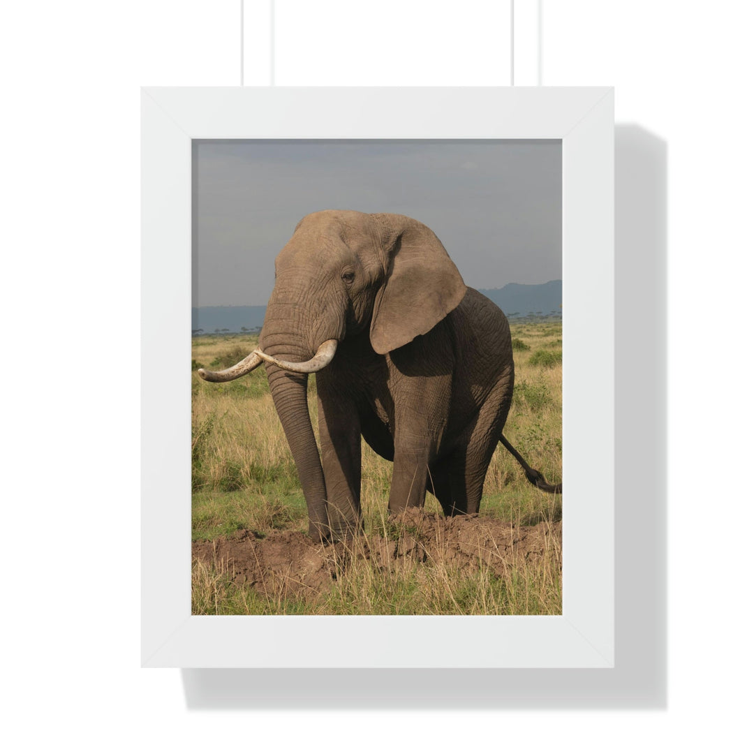 Elephant Stance - Framed Print - Visiting This World