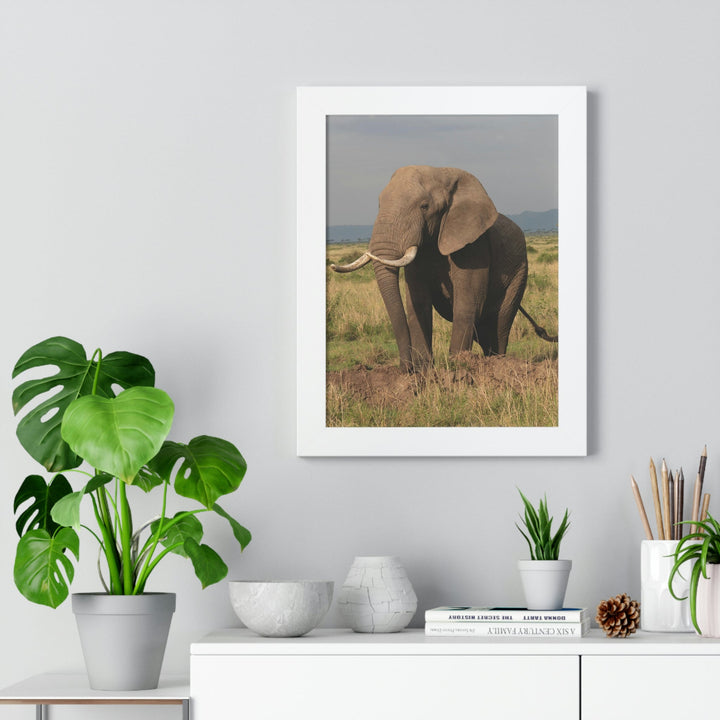 Elephant Stance - Framed Print - Visiting This World