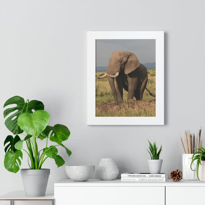 Elephant Stance - Framed Print - Visiting This World