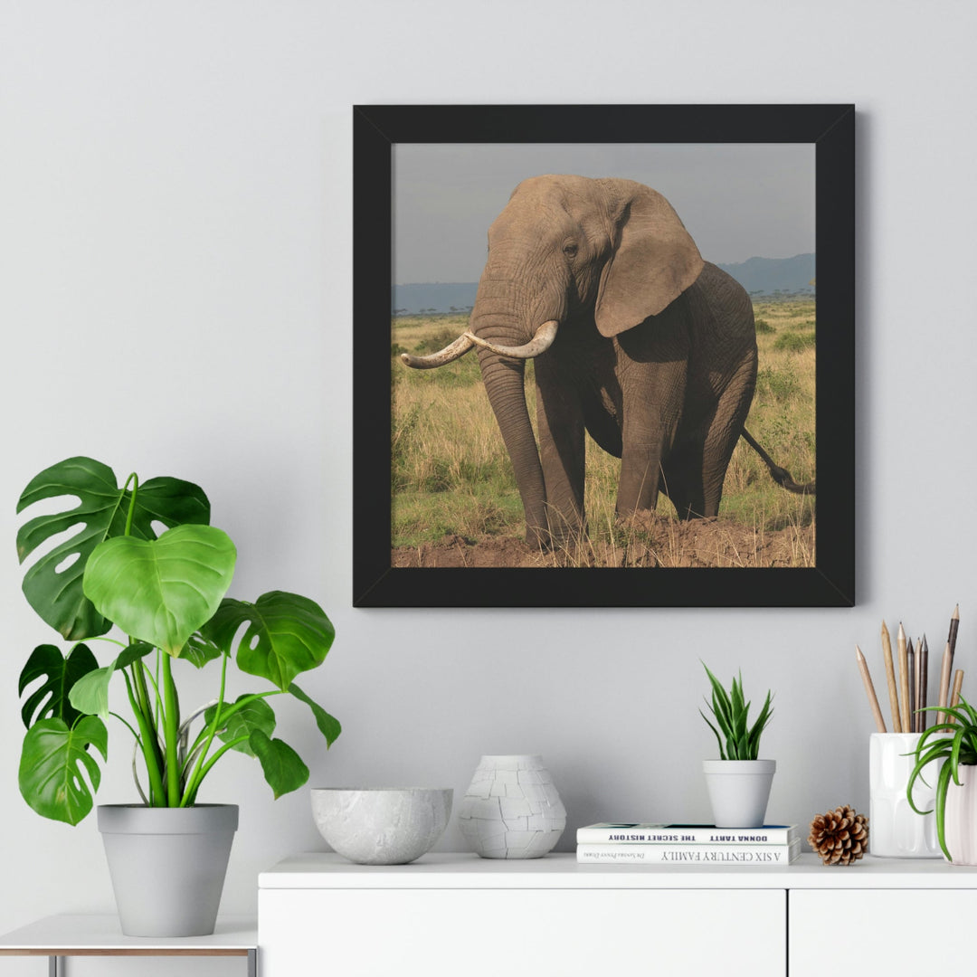 Elephant Stance - Framed Print - Visiting This World