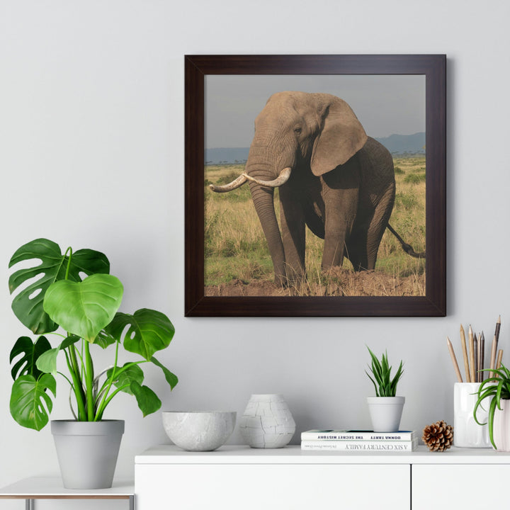 Elephant Stance - Framed Print - Visiting This World