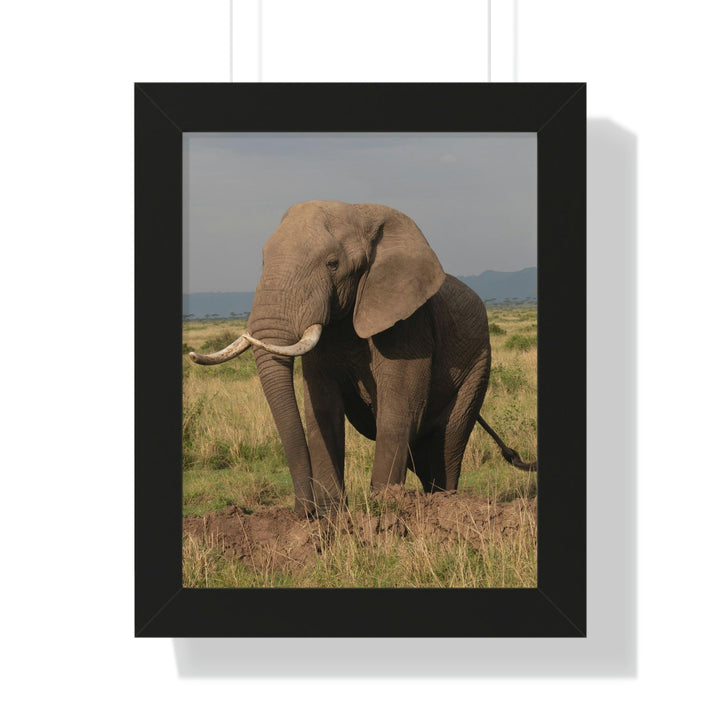 Elephant Stance - Framed Print - Visiting This World