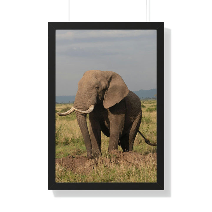 Elephant Stance - Framed Print - Visiting This World