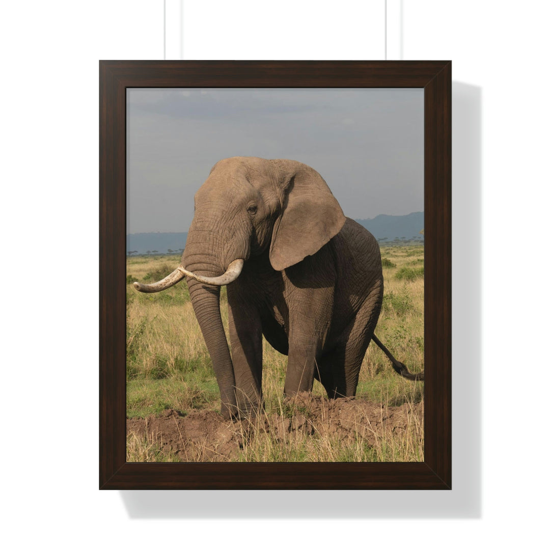 Elephant Stance - Framed Print - Visiting This World