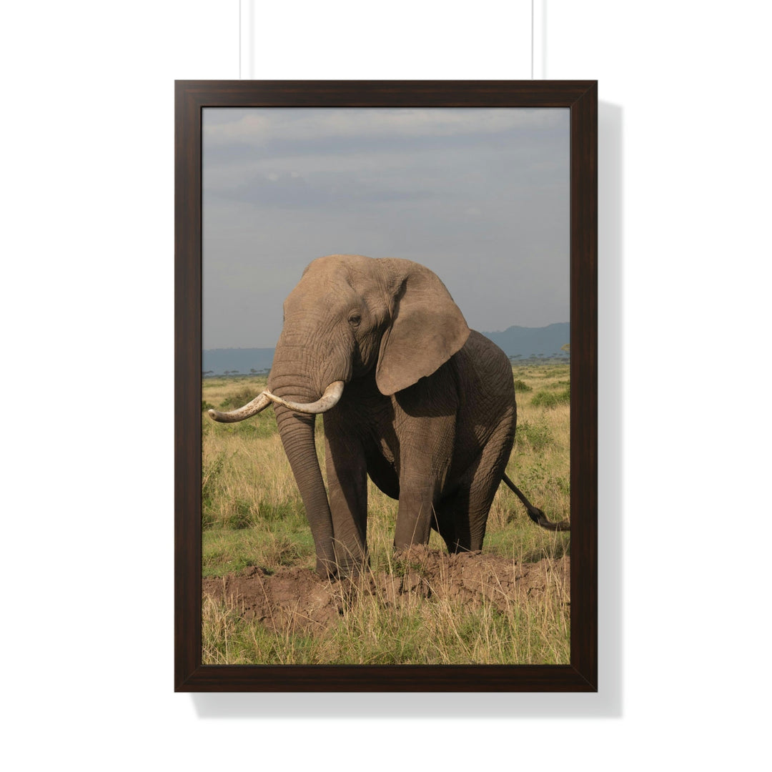 Elephant Stance - Framed Print - Visiting This World