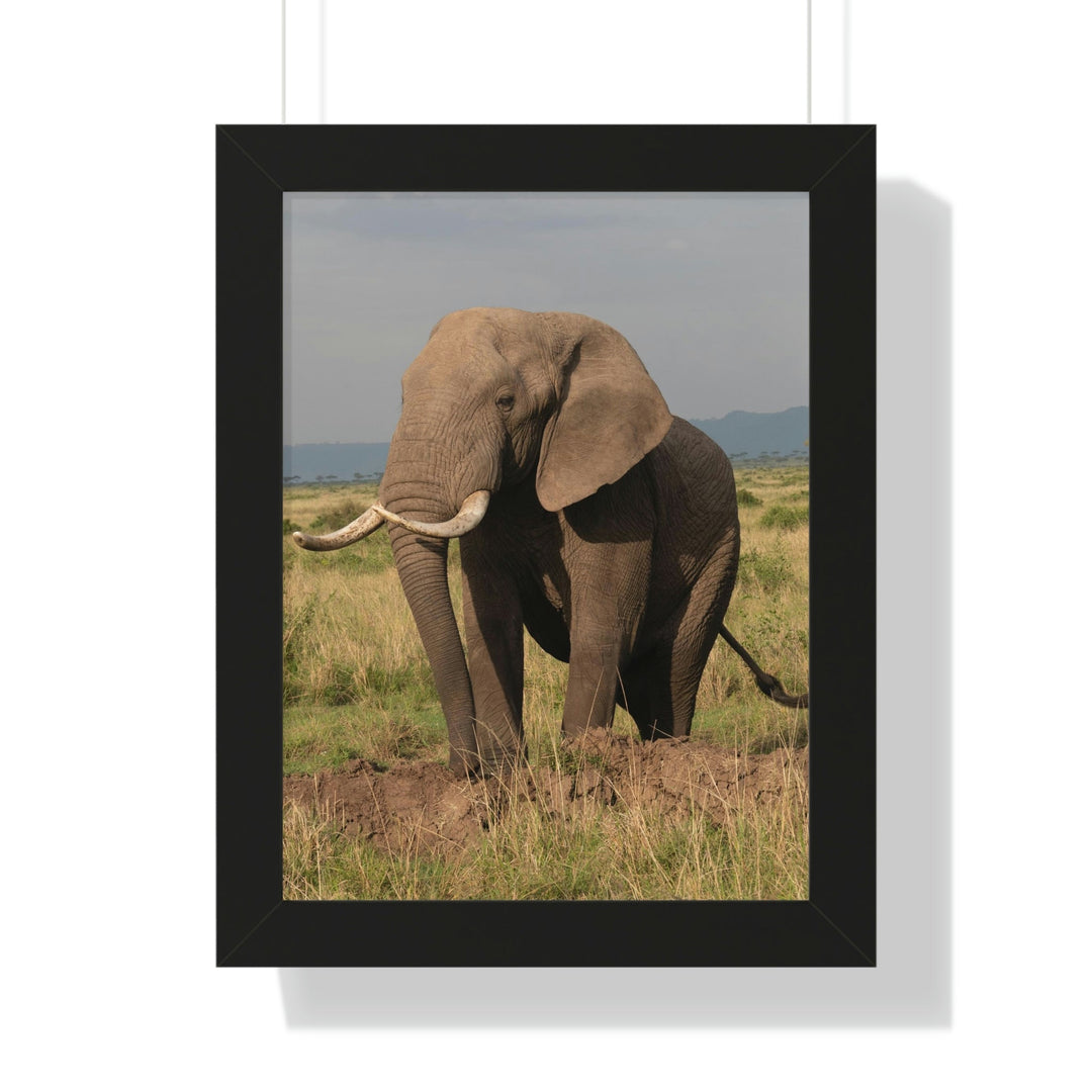 Elephant Stance - Framed Print - Visiting This World