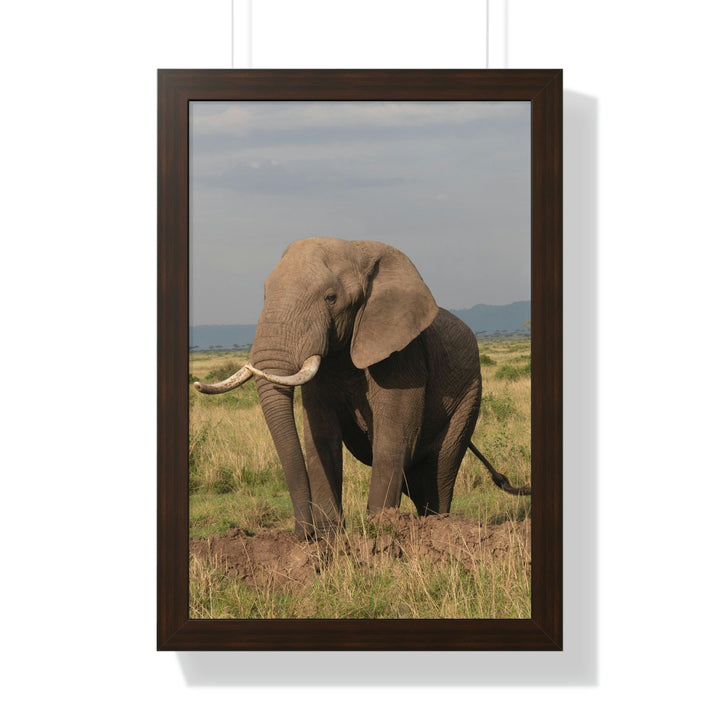 Elephant Stance - Framed Print - Visiting This World