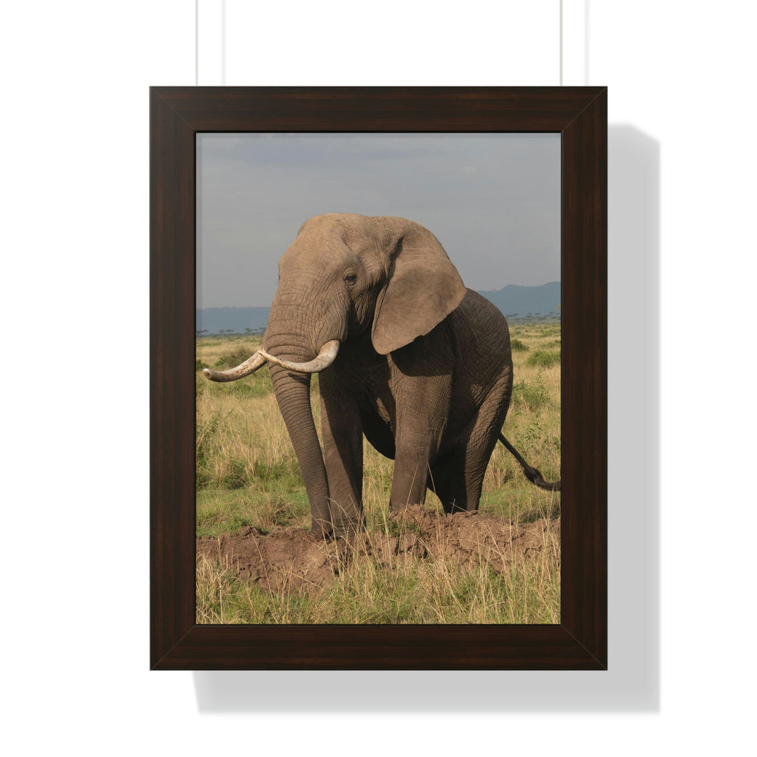 Elephant Stance - Framed Print - Visiting This World