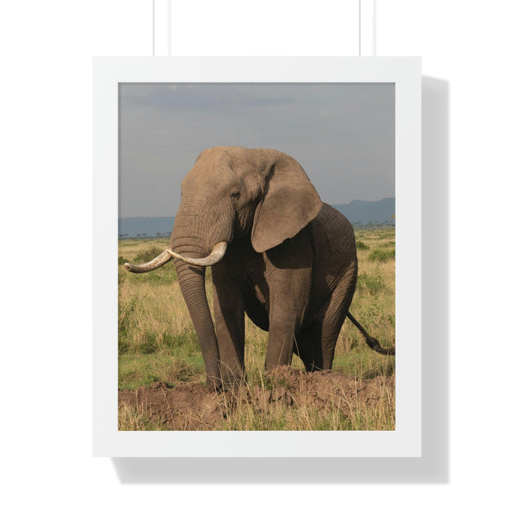 Elephant Stance - Framed Print - Visiting This World