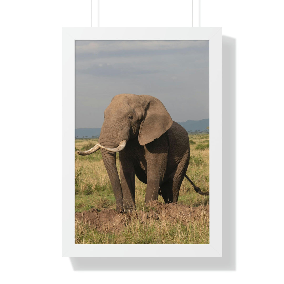 Elephant Stance - Framed Print - Visiting This World