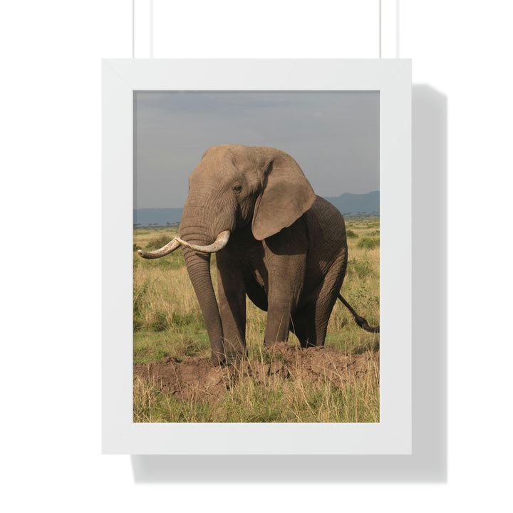 Elephant Stance - Framed Print - Visiting This World