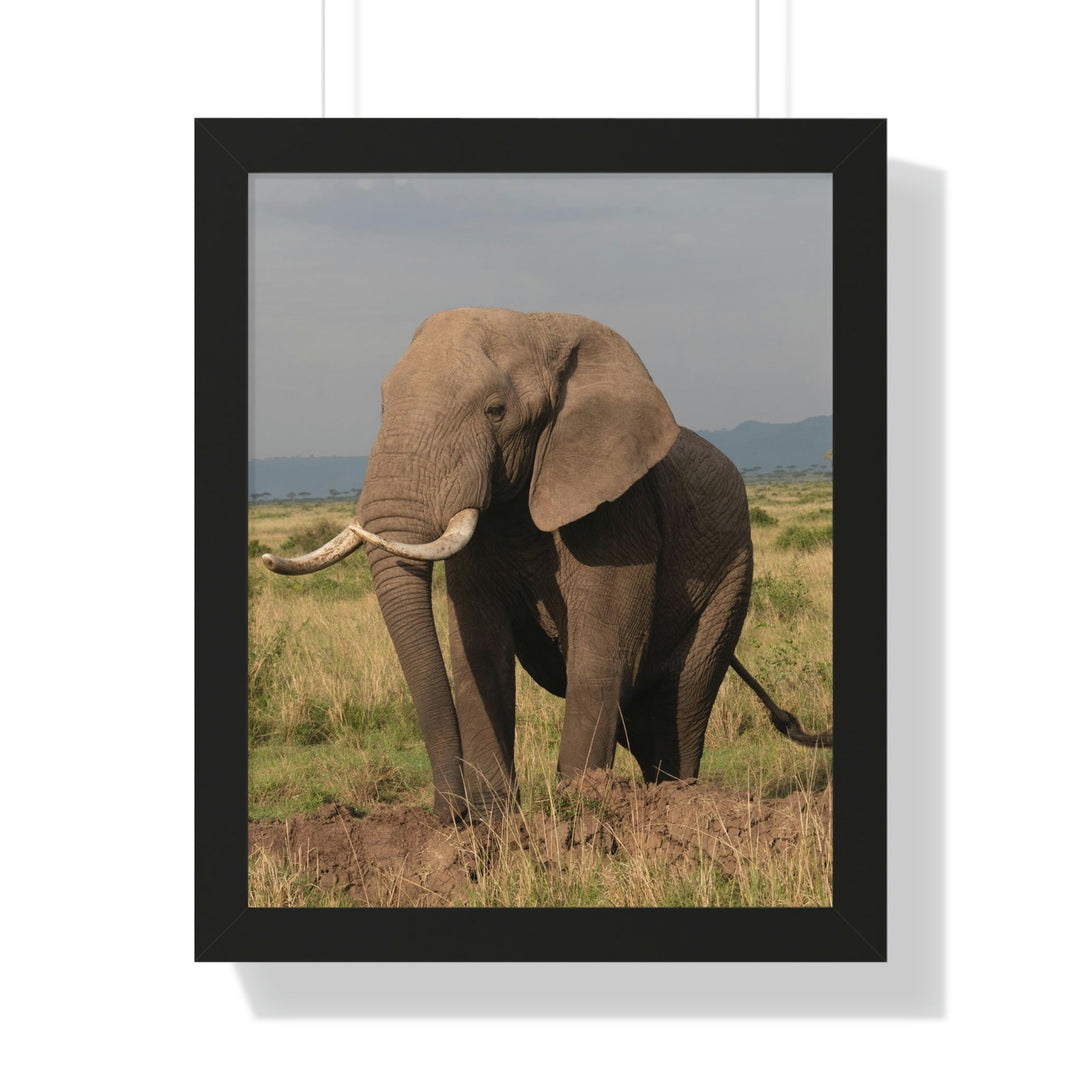 Elephant Stance - Framed Print - Visiting This World