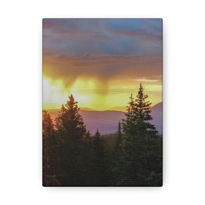 Rainy Sunset Through the Trees - Canvas