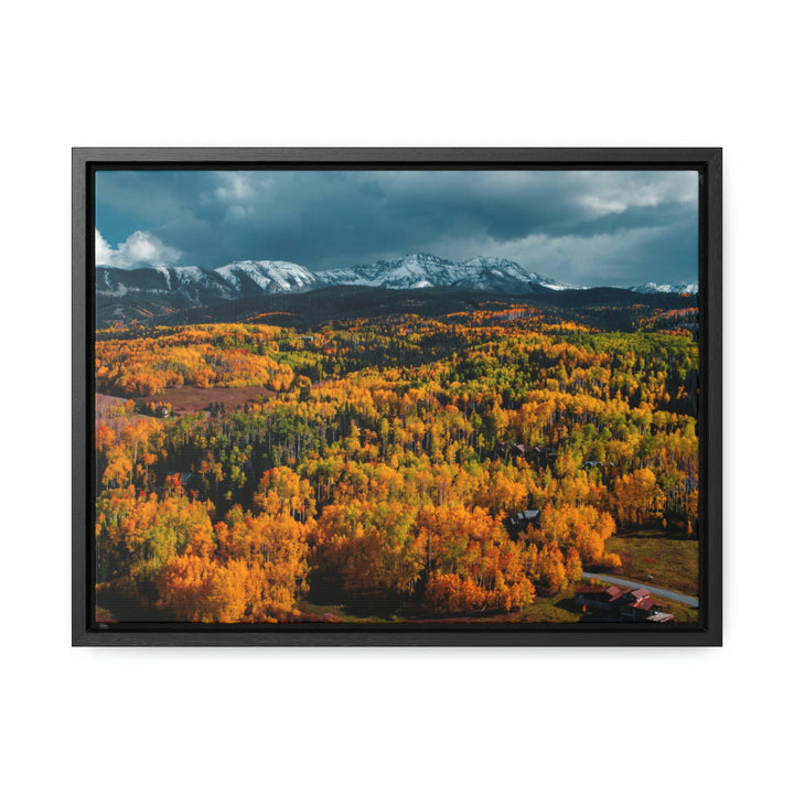 Golds of Autumn - Canvas with Frame