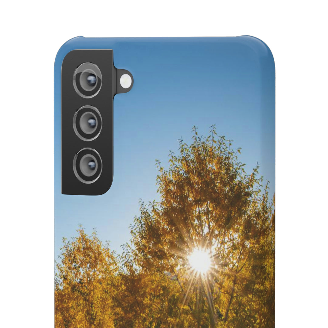 Sun Through the Aspens - Phone Case