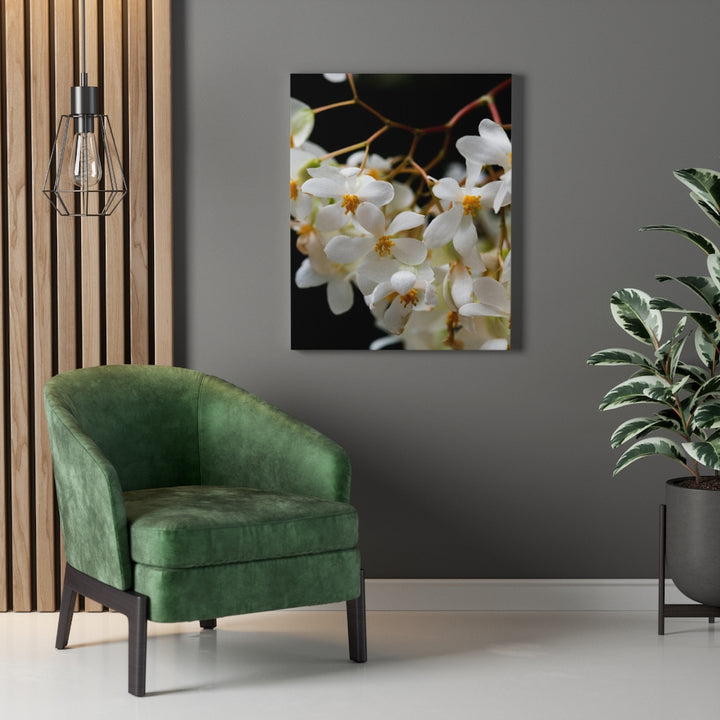 Floral Network - Canvas