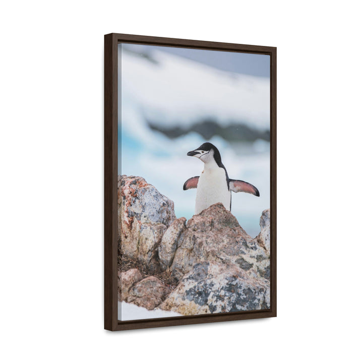 Stretched Penguin - Canvas with Frame