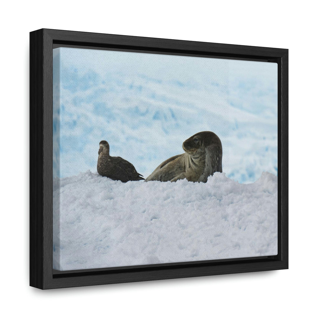 A Resting Pair - Canvas with Frame