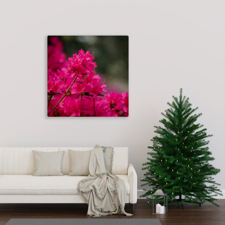 Full Bloom - Canvas