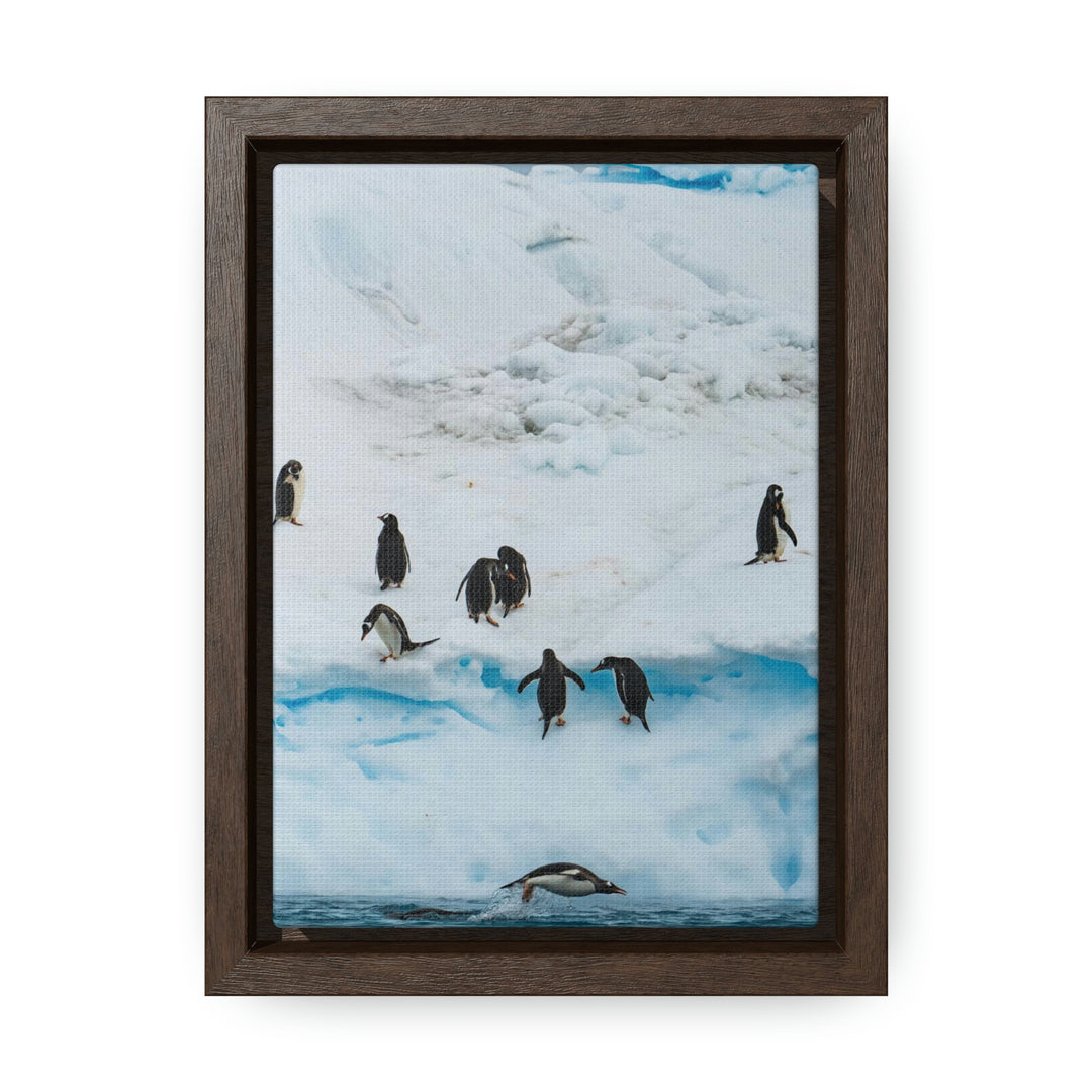 Porpoising Penguin - Canvas with Frame