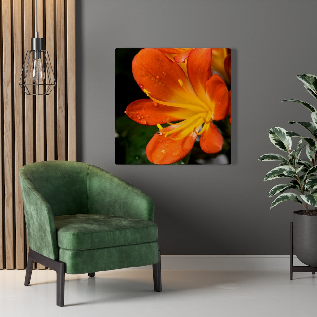 Bright Bush Lily - Canvas